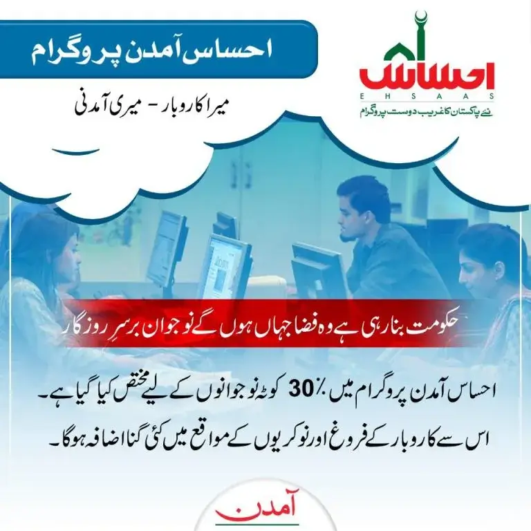 Ehsaas Amdan Program CNIC Check Online Registration