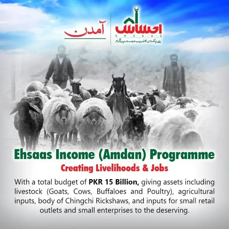 Ehsaas Amdan Program CNIC