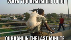Eid UL Adha Memes 2023 [Funny Images] Share with your Friends