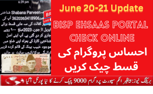 How To Check BISP Ehsaas Program Money 2023 Online – Step By Step