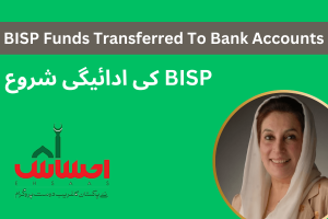 BISP Funds To Be Transferred To Bank Accounts Of Deserving Women