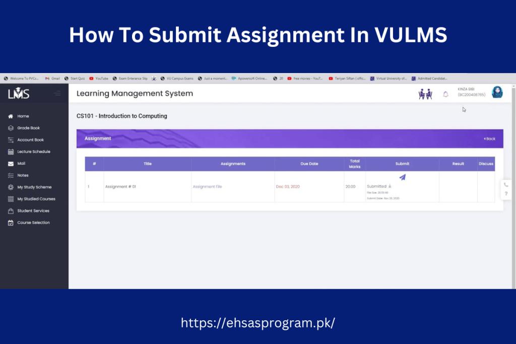 VULMS assignment submission