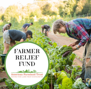 Donating a Farm to Charity: A Meaningful Way to Give Back to Society